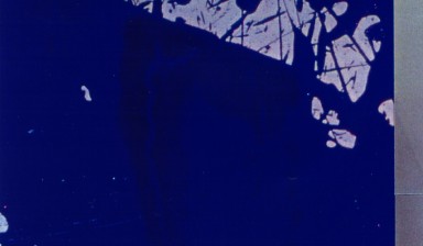 Fondation Nestlé pour l’Art – Vivement 2002! troisième épisode, MAMCO, MAMCO, Genève