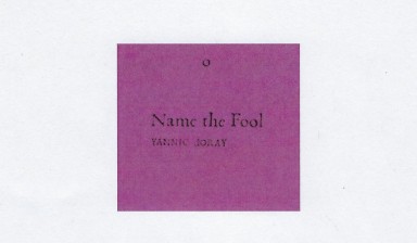 Fondation Nestlé pour l’Art – Yannic Joray. Name the Fool, 21, 21, Zürich