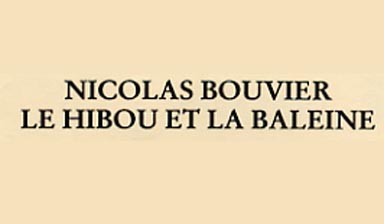 Fondation Nestlé pour l’Art – Le Hibou et la Baleine, Light Night Production, Carouge
