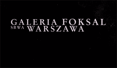 Fondation Nestlé pour l’Art – On the nature of things, Galerie Foksal SBWA, Galerie Foksal SBWA, Warsaw