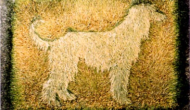 Fondation Nestlé pour l’Art – Animal Animation, Hansueli Bäbler, Basel