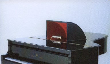 Fondation Nestlé pour l’Art – Musik macht Theater, Collegium Novum Zürich, Ganze Schweiz